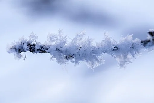 В Челябинской области ожидается мокрый снег