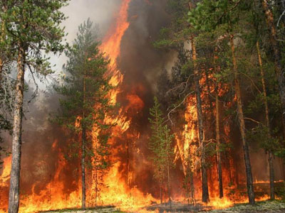 Заслон лесным пожарам: в Копейске и на прилегающих территориях сохраняется высокая пожарная опасность