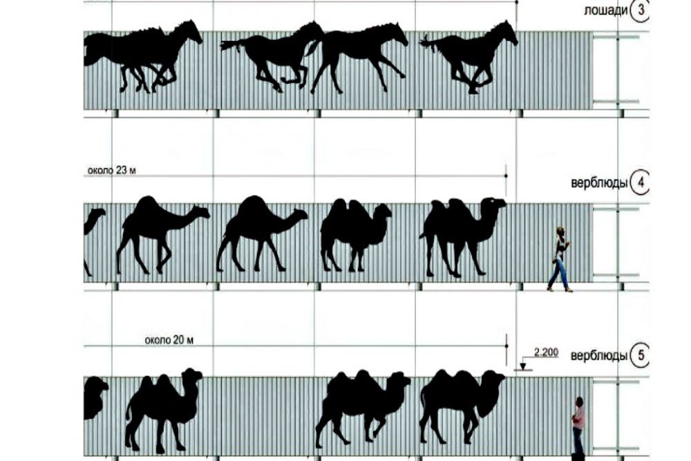 На Меридиане установят шумозащитные экраны с верблюдами, лошадьми и птицами