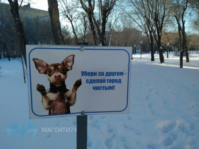 На Южном Урале запретили выгуливать собак