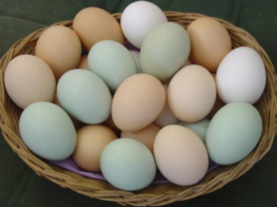 Вот это сюрприз: яйца стали дешевле