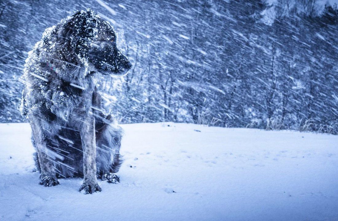 Снег, ветер и морозец. На Южном Урале ухудшится погода