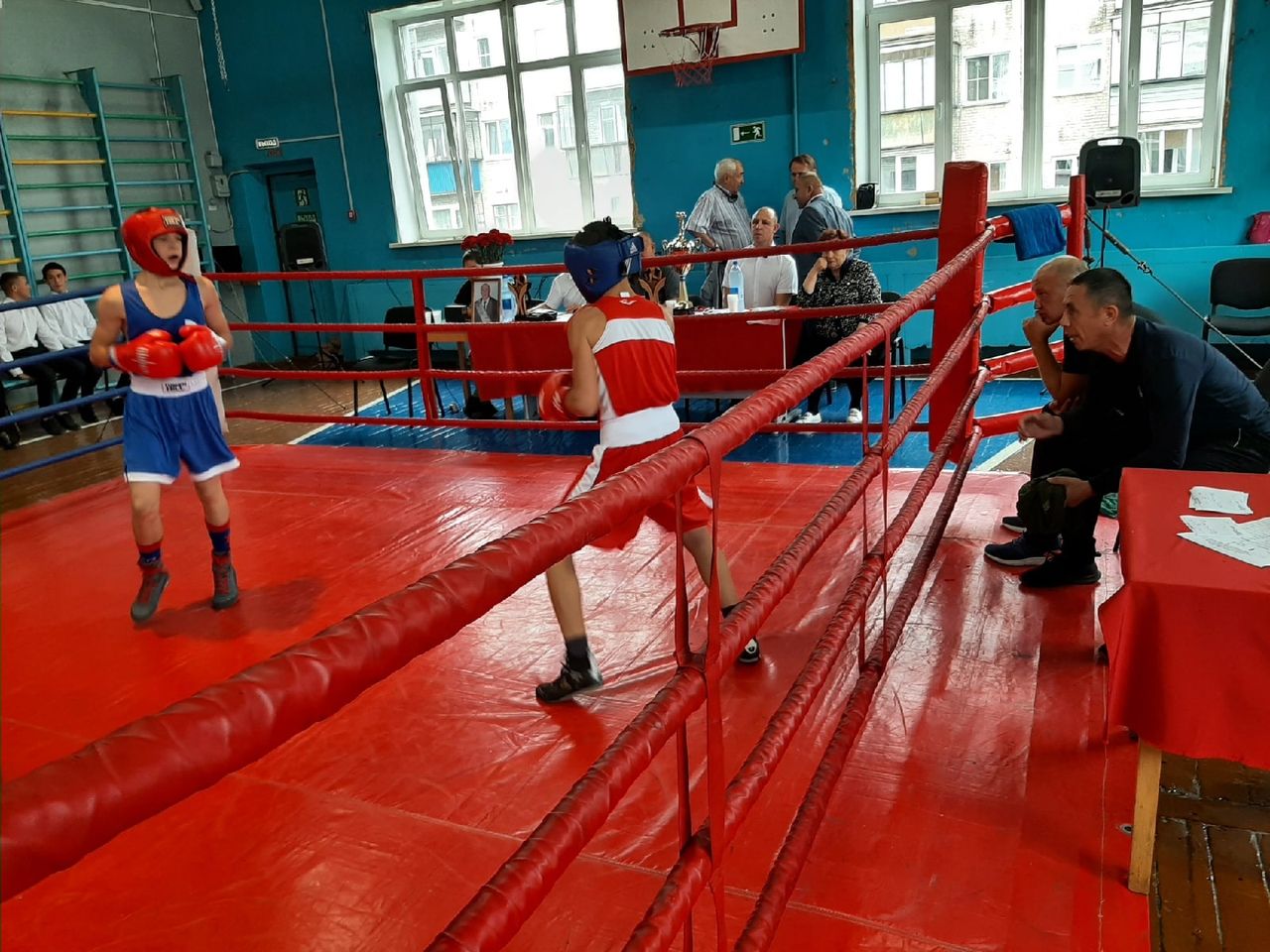 В Копейске прошел боксерский турнир в честь Дня города