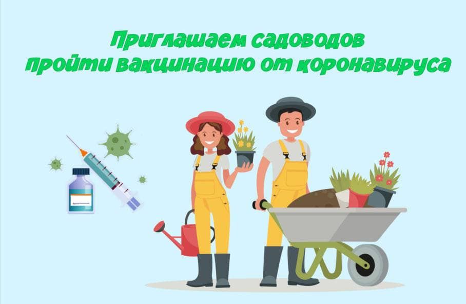  В садовых товариществах Челябинской области можно будет поставить прививку от COVID-19