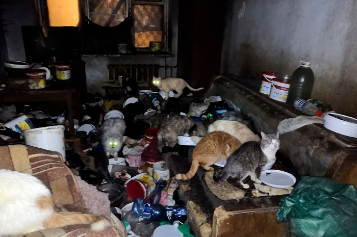 20 животных заперли в квартире Миасса на 4 дня