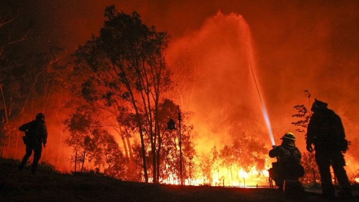 На Урал пришли лесные пожары. В пяти районах введен особый противопожарный режим