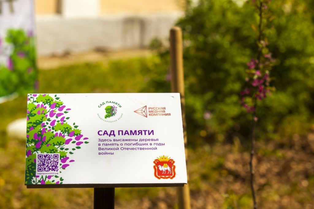 Школьники Южного Урала участвуют в акции «Сад памяти»