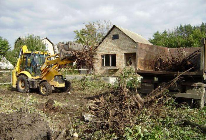 Путин призвал оставить садоводов в покое и пообещал разобраться с проблемой сноса садовых домов