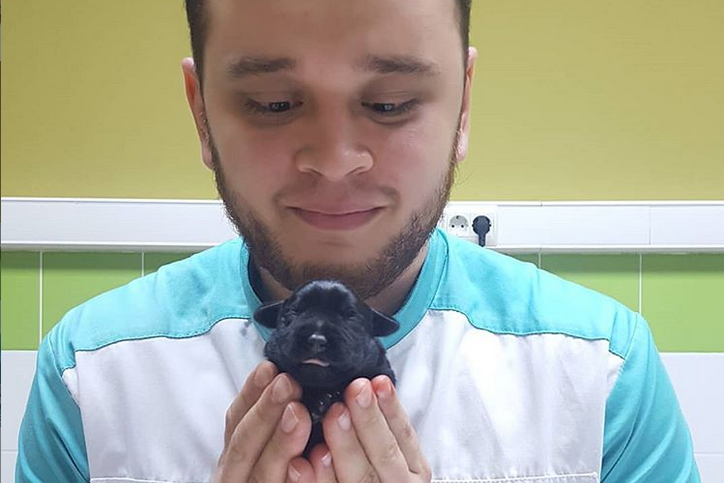 Известный ветеринар Челябинска бросил клинику и уехал в деревню лепить пельмени