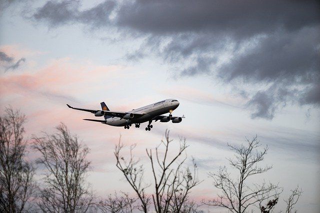 Самолет из Челябинска со 188 пассажирами на борту совершил вынужденную посадку