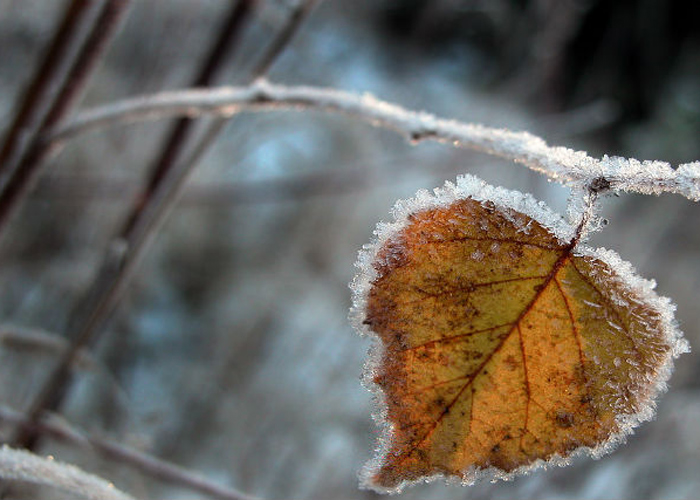 Похолодание с заморозками и снегом идет в Копейск