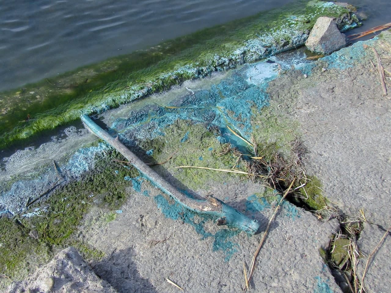 Экологи объяснили появление голубой пены на озере Смолино