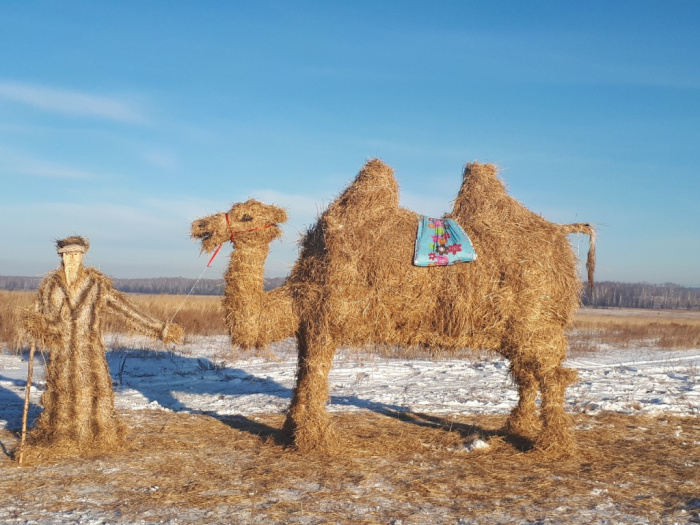 В Челябинской области появился соломенный верблюд