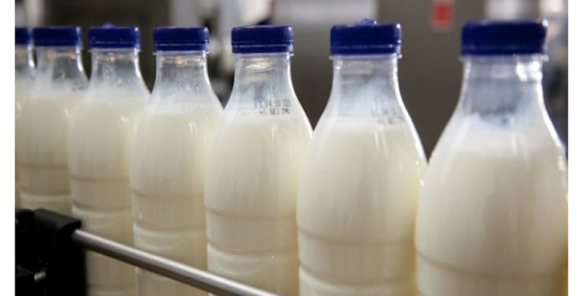 Резонанс. Копейчан возмущает рост цен на молочные продукты