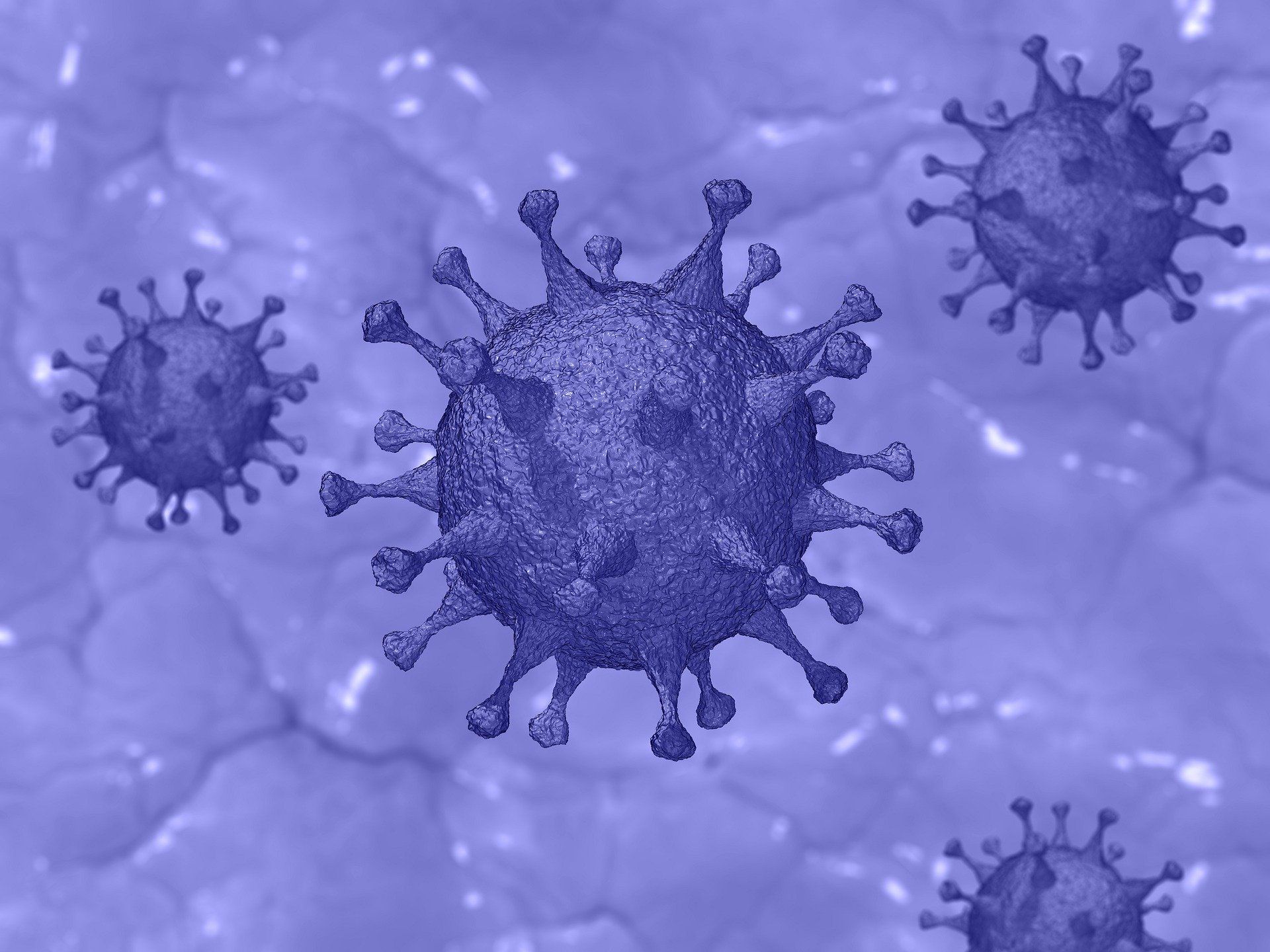 Число заболевших коронавирусом в области увеличилось до 697-ми 