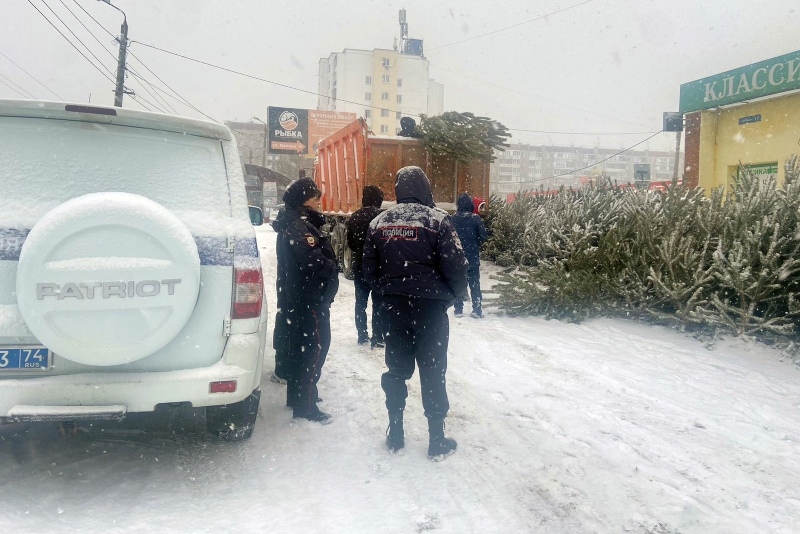 Сотрудники органов внутренних дел провели рейды по проверке законности продажи елей в Челябинской области