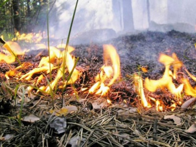 Высокая степень пожарной опасности объявлена в Копейске