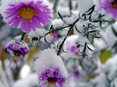 Лето в Челябинской области выдалось снежным