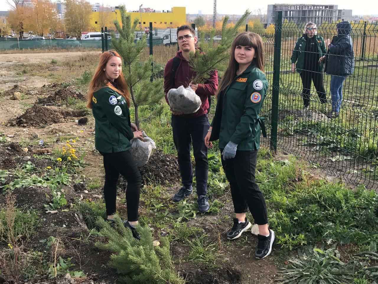 Волонтеры высадили в Челябинске 130 сосен