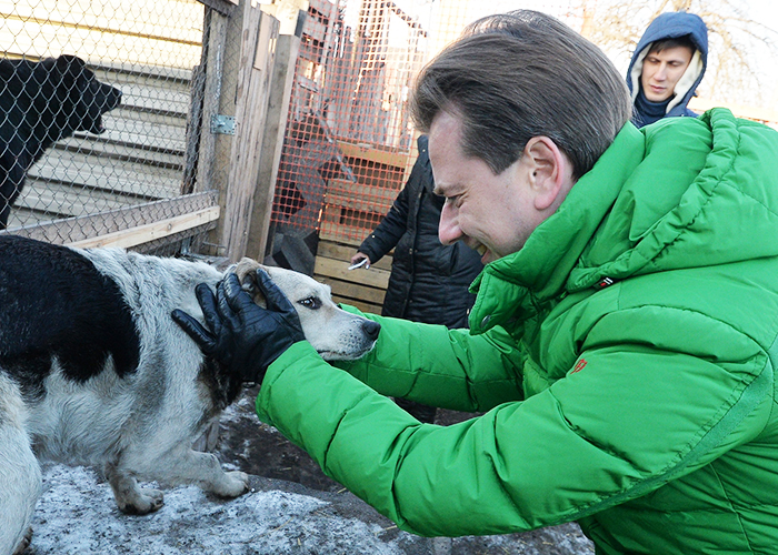 Владимир Бурматов поддерживает приюты для бездомных животных