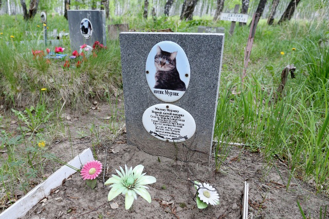 Кладбище домашних питомцев в Челябинске мешает жить людям 
