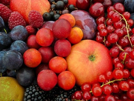 Плоды и ягоды Южного Урала станут дешевле