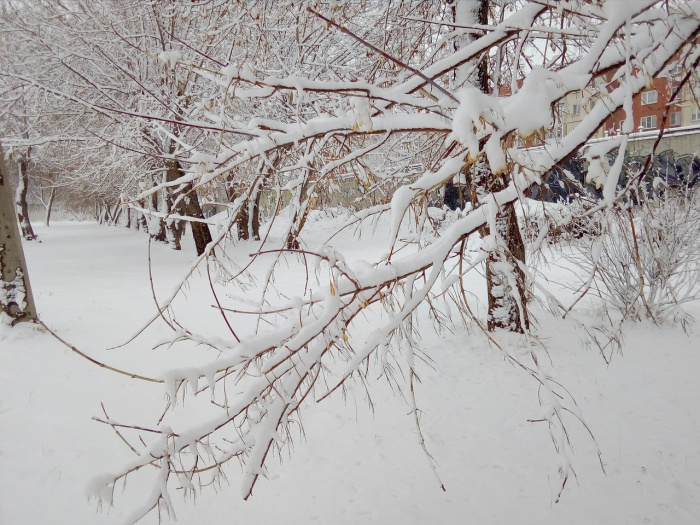 Снег да снег кругом… Как копейчане отнеслись к апрельскому снегопаду