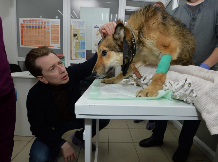 Владимир Бурматов потребовал найти живодеров, которые выпустили заряд дроби по собаке