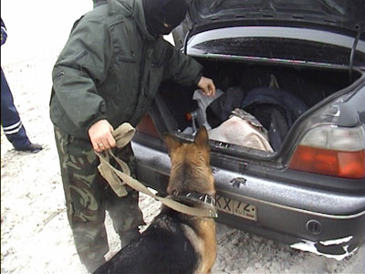 «Что в машине?»: вынесен приговор милиционеру из Тюмени, перевозившему наркотики