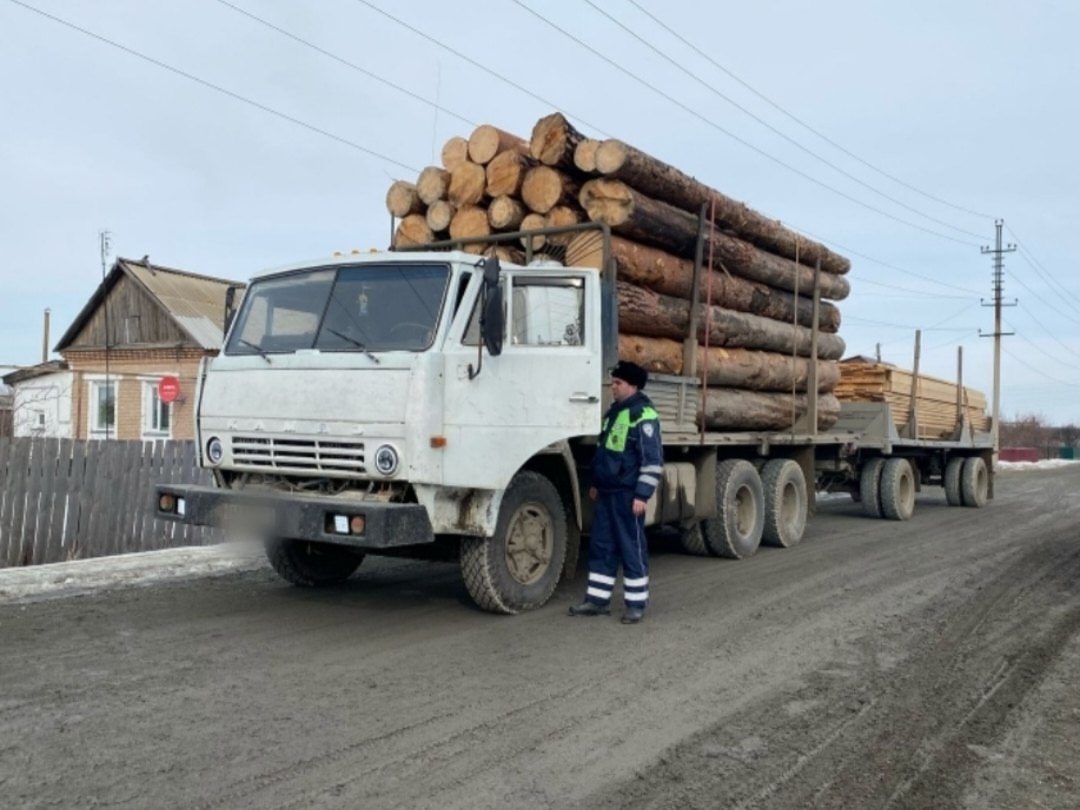 Незаконная вырубка леса: какая грозит ответственность и куда сообщать о нарушениях