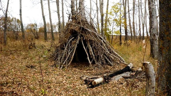 Челябинец построил себе в лесу шалаш и два месяца прятался от суда
