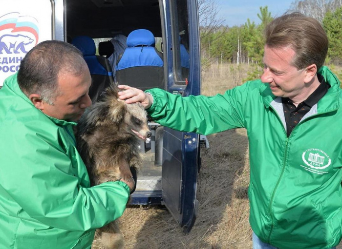 Владимир Бурматов выпустил шесть спасенных животных на волю