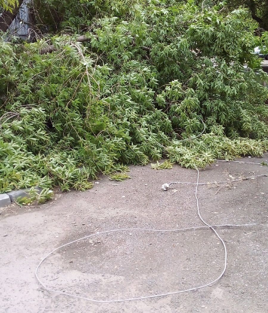 Шквалистый ветер поломал деревья в Копейске