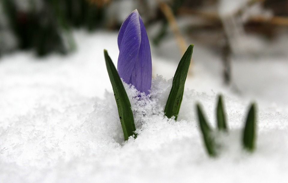 К 8 марта Южный Урал занесет снегом