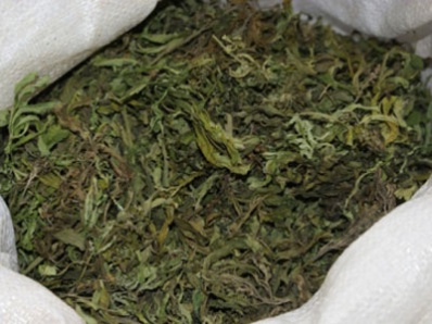 В доме 33-летнего копейчанина обнаружено более 1,5 кг марихуаны