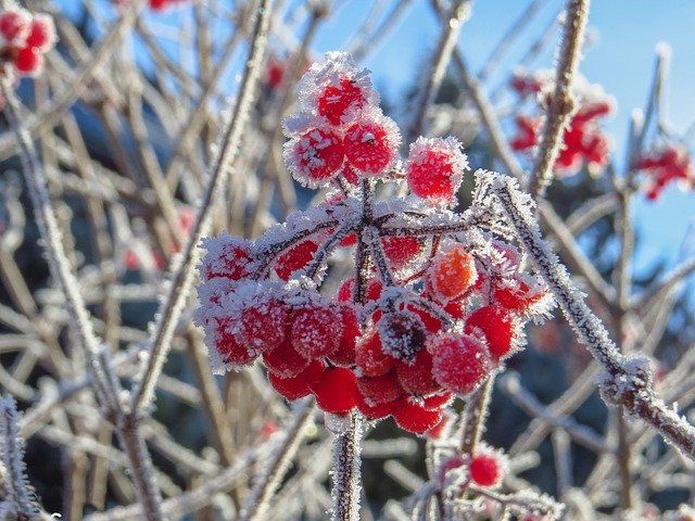 Грядут заморозки: похолодает до -4 градусов на Южном Урале