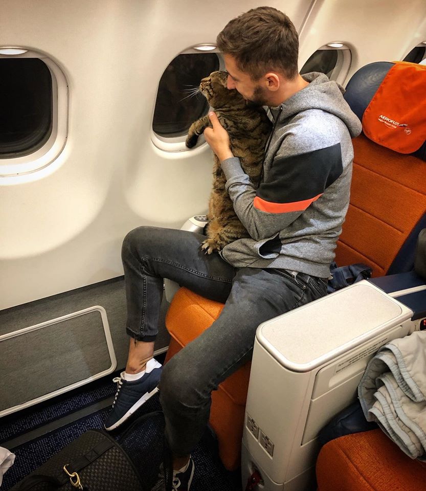 Жителя Владивостока не пускали в самолет с котом. Он нашел оригинальный выход
