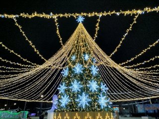 Как южноуральцы проводят новогодние каникулы: топ-5 занятий