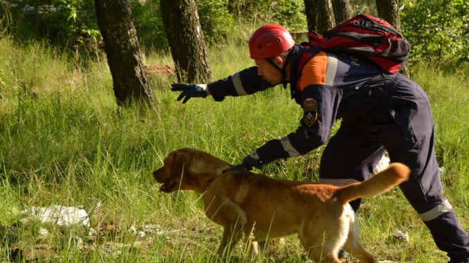 Пропавшего в Челябинской области мальчика ищут спасатели с собаками