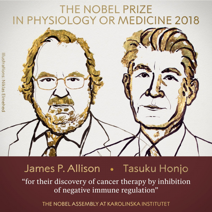 Нобелевскую премию по медицине присудили за открытие нового метода лечения рака