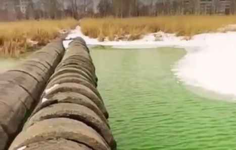 Вода в челябинском озере Смолино окрасилась в зеленый цвет