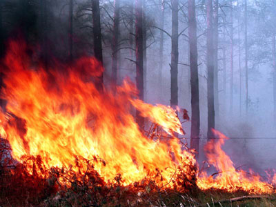 В Копейске сохраняется высокий уровень пожароопасности 