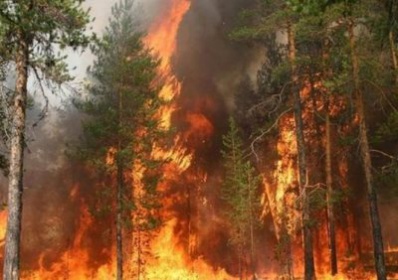 Копейчане, убережем лес от огня!
