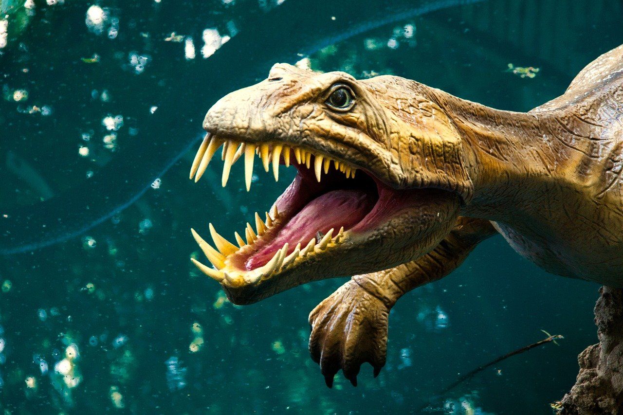 В челябинском озере нашли членистоногих времен динозавров