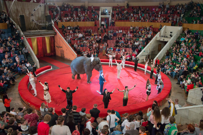 В Челябинск приехало «Шоу слонов»