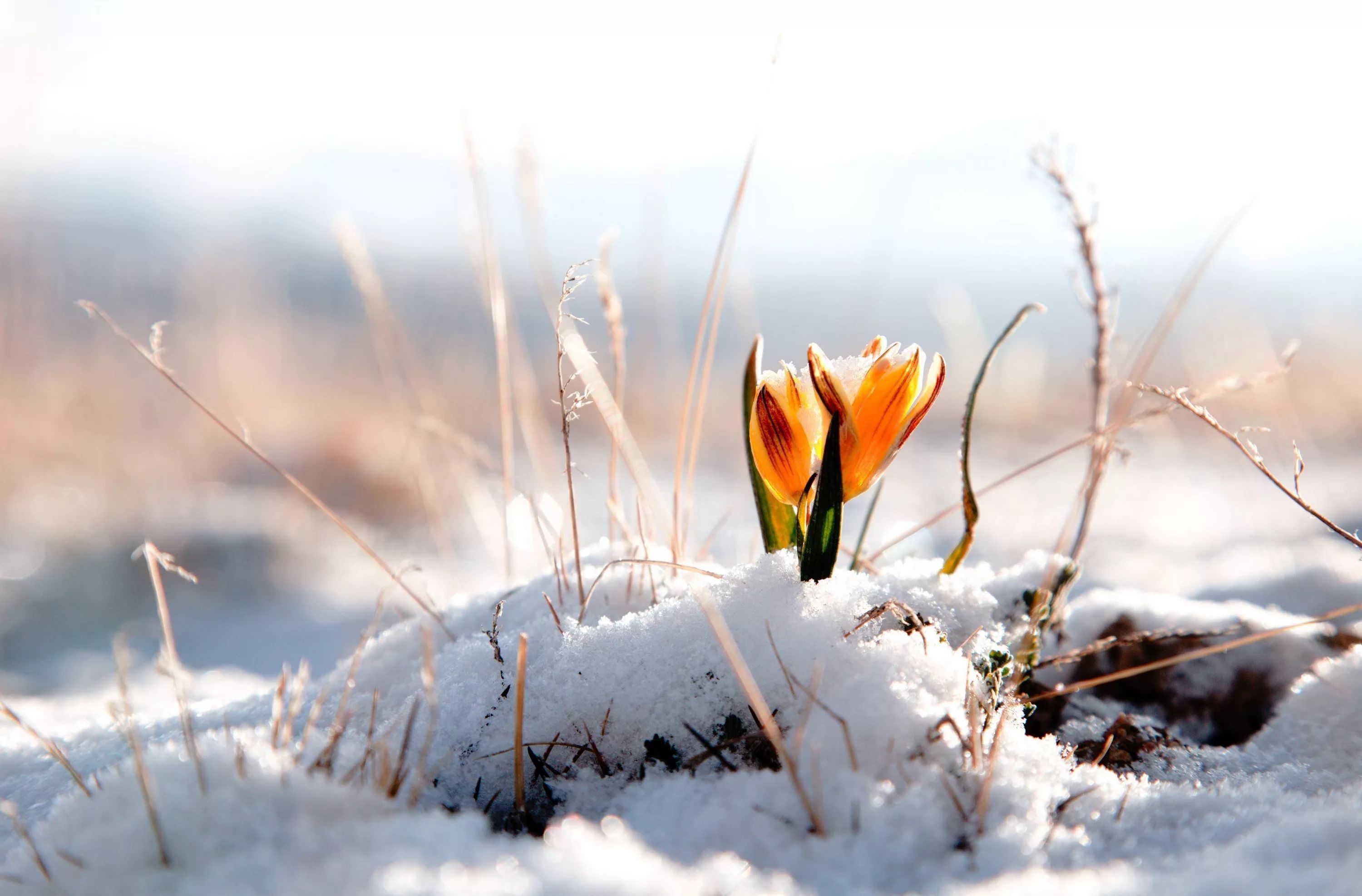 На Южный Урал возвращается весна