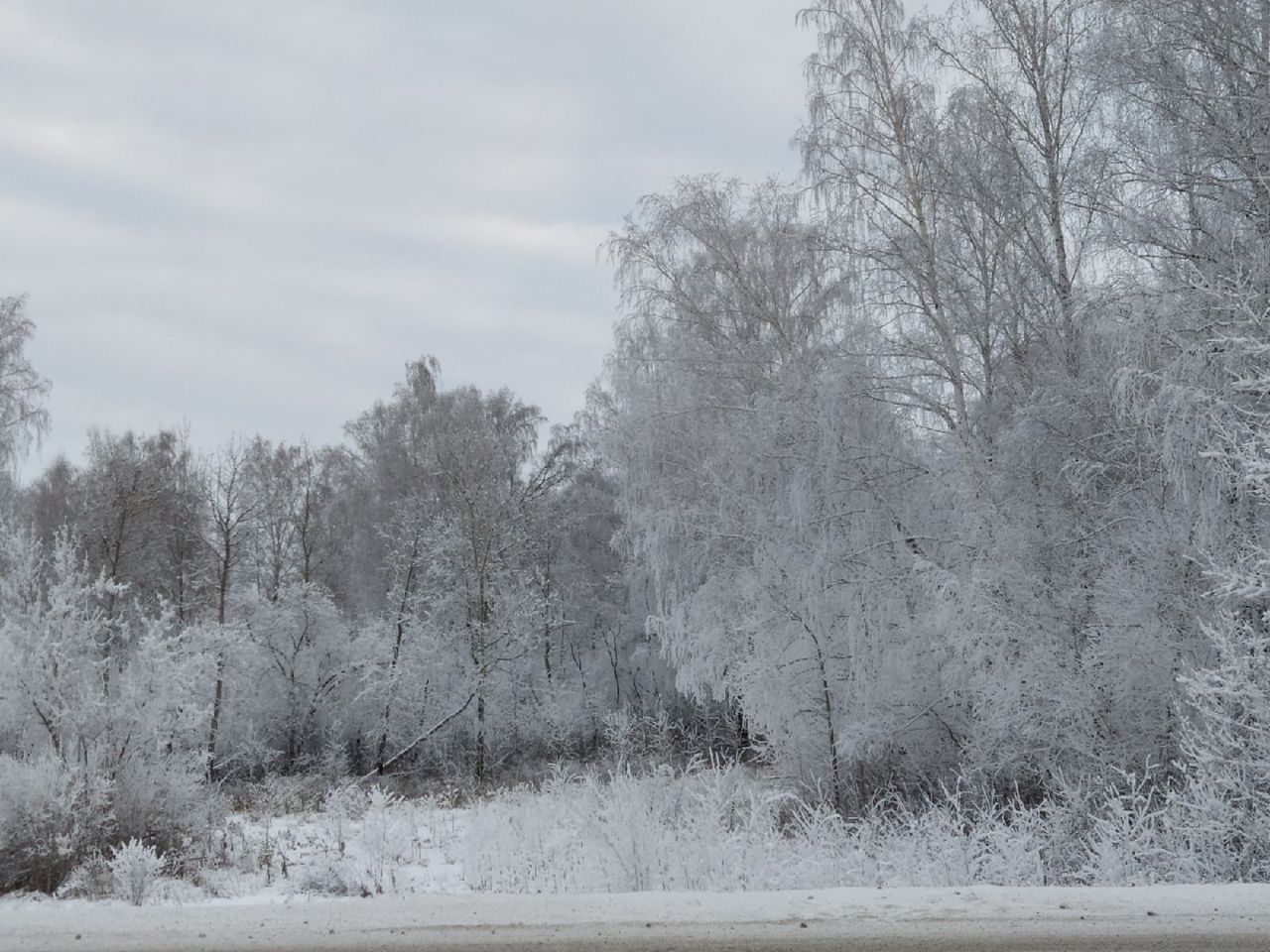 Зима в России будет морозной
