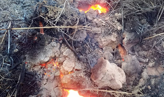 Для тушения пожаров в Старокамышинске эксперты Минэкологии создали рабочую группу