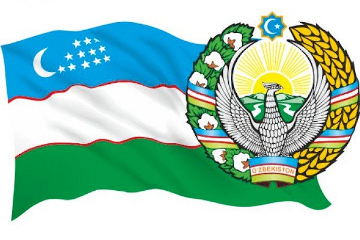 Живущих в Челябинской области граждан Узбекистана пригласили принять участие в выборах дистанционно