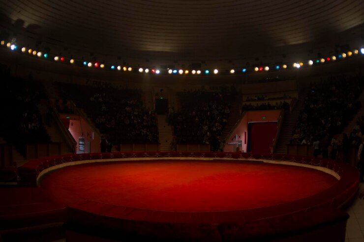 В Челябинске перенесли дату открытия цирка после ремонта